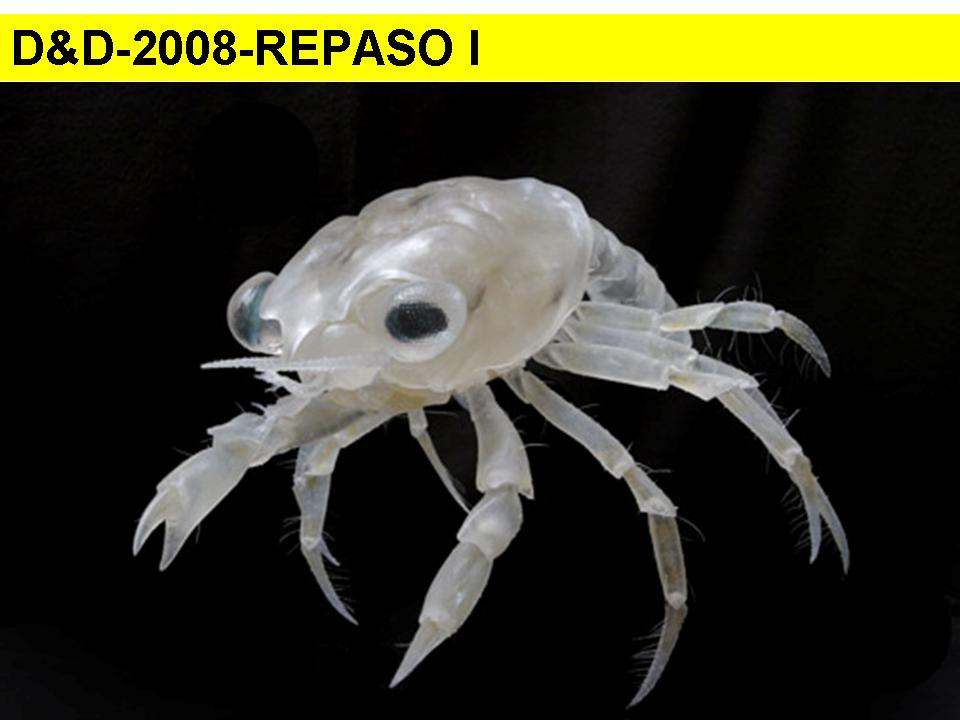 Teorica Nº1