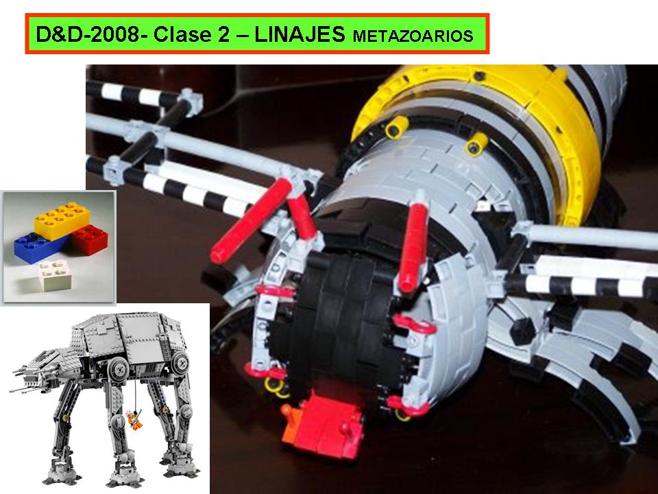 Teorica Nº2